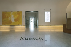 Ingresso Clinica Ruesch