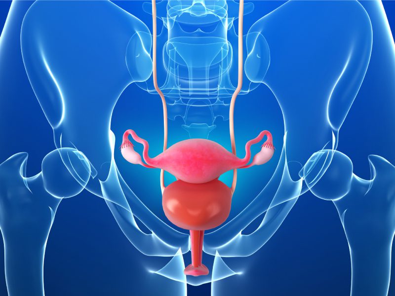 Uroginecologia1