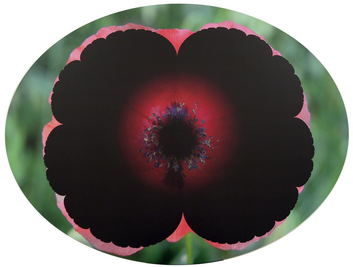 Artista: Bruno Di Bello Titolo: Site Specific Works Anno: 2005 